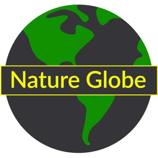 Nature Globe Logo
